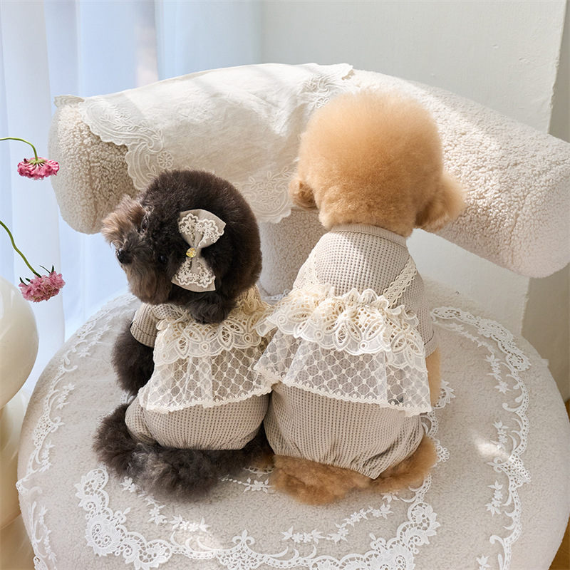 Pet Spring Jumpsuit Cute Lace  - Lace Teddy Lingerie ulasan dan harga