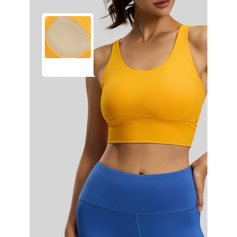 2026 New Women Ribbed High Imp - Sports Bra High Impact ulasan dan harga